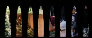 balas web - CEAR