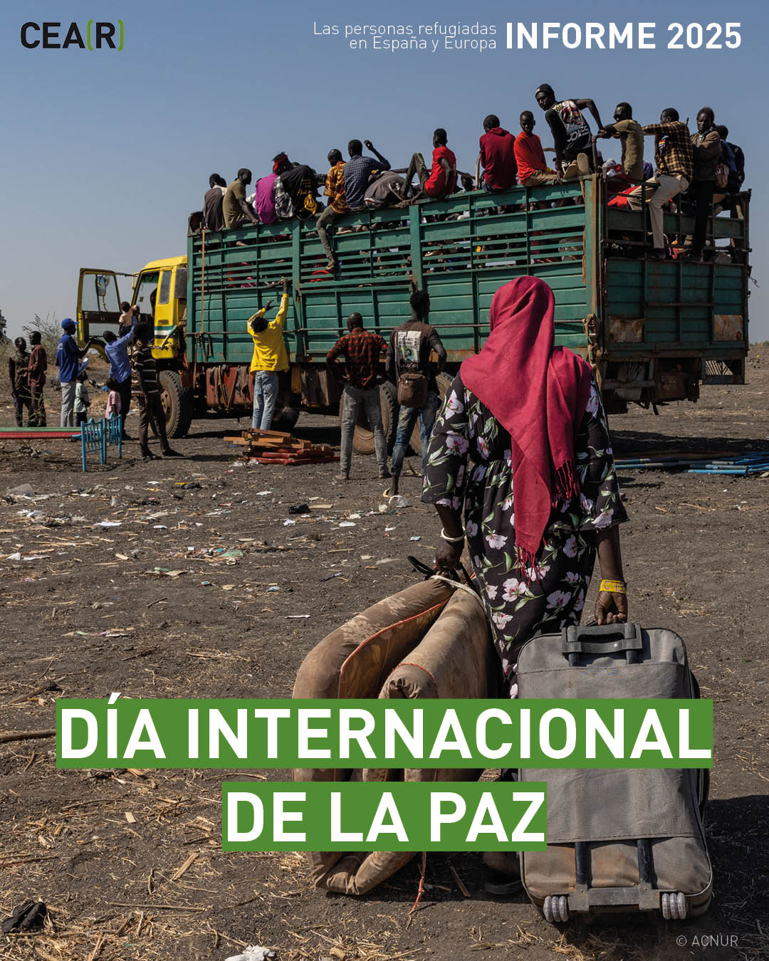 Día Paz 1
