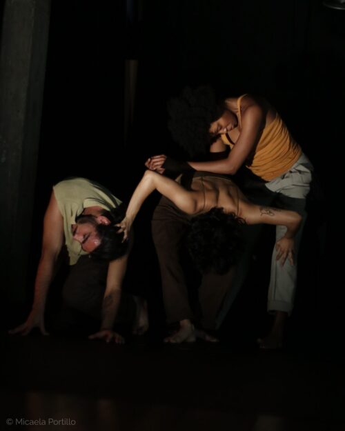 Bailo-5-500x625