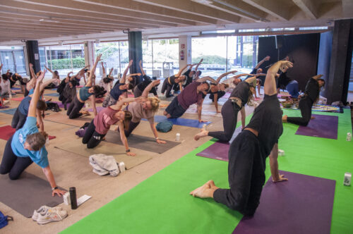 DSC0410-copia-500x332