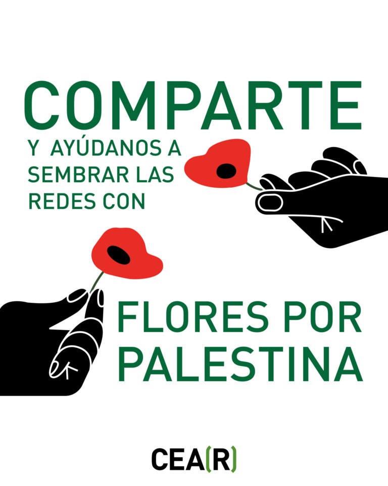 Dia-Internacional-de-Solidaridad-con-el-Pueblo-Palestino-02