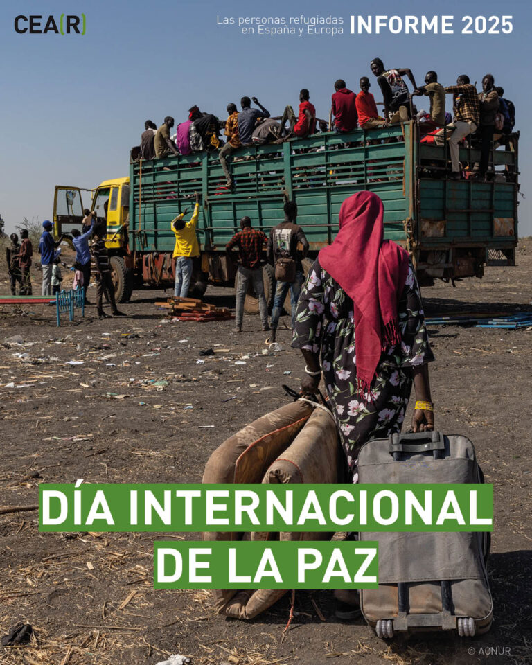 Dia-Paz-1