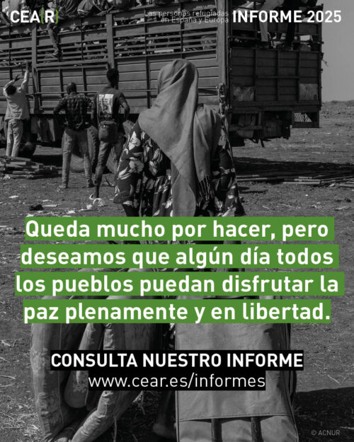Dia-Paz-5-500x625