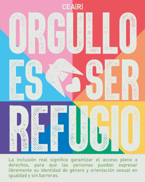 orgullo_graficas-07-500x625
